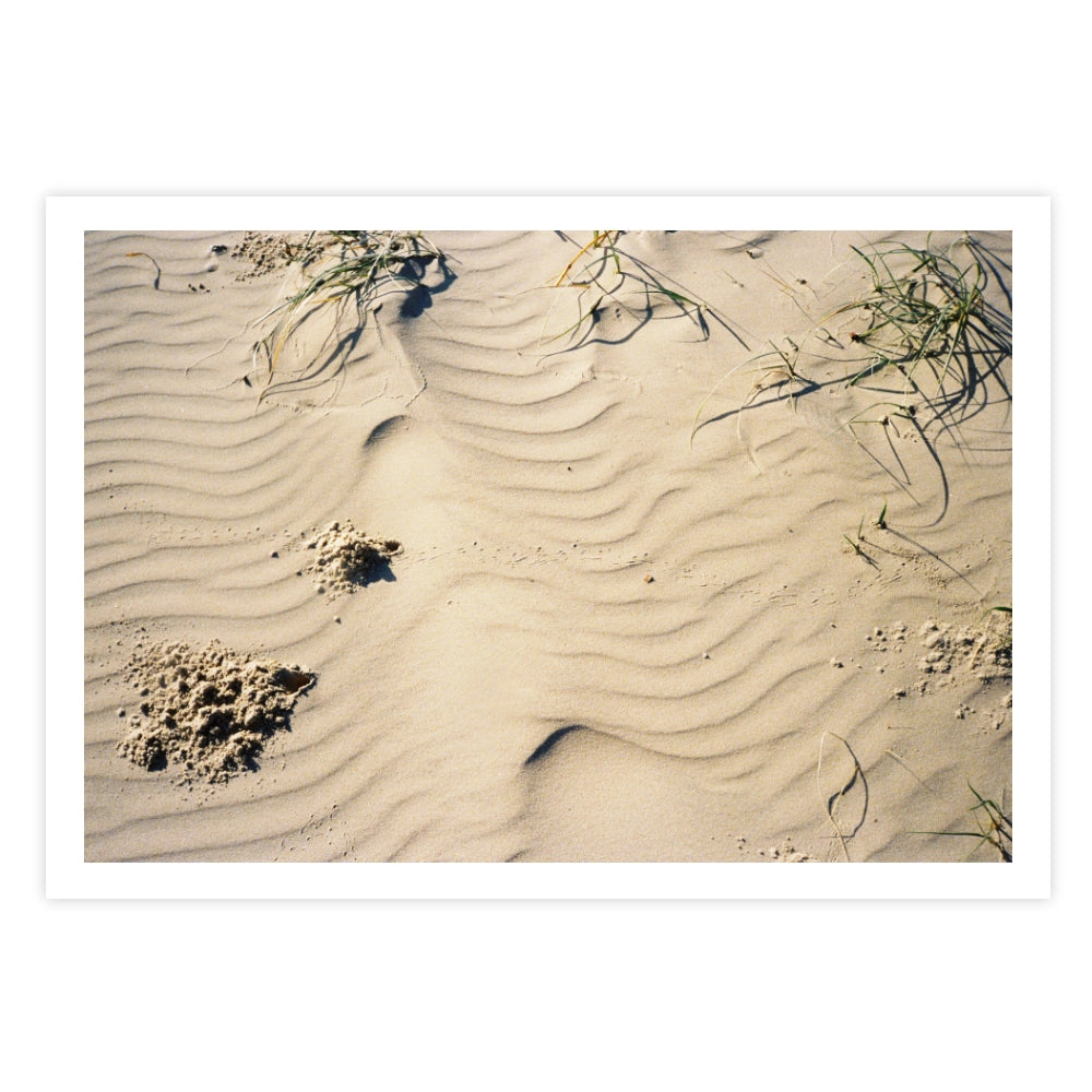 Line in the Sand Mermaid Beach