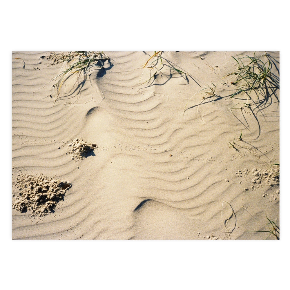 Line in the Sand Mermaid Beach