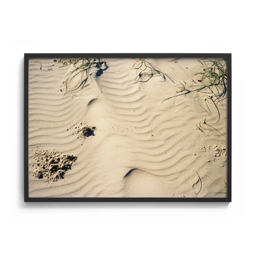 Line in the Sand Mermaid Beach