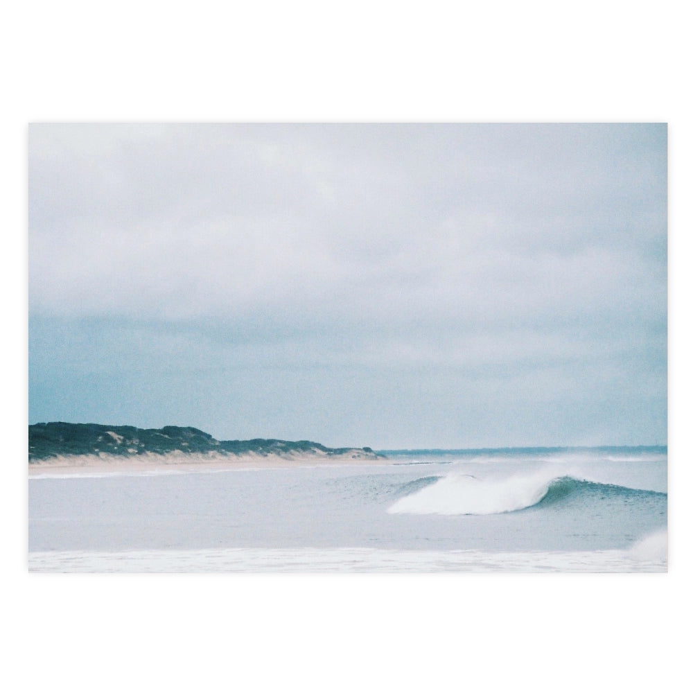 Low Tide, Dune Line