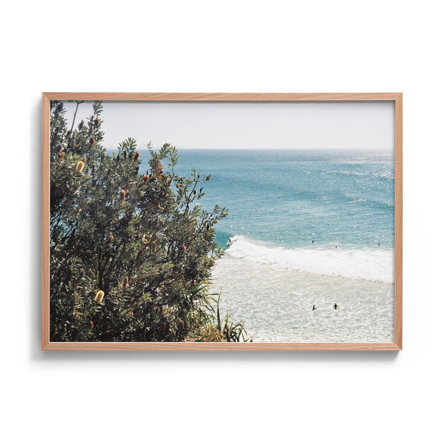 Through the Banksia